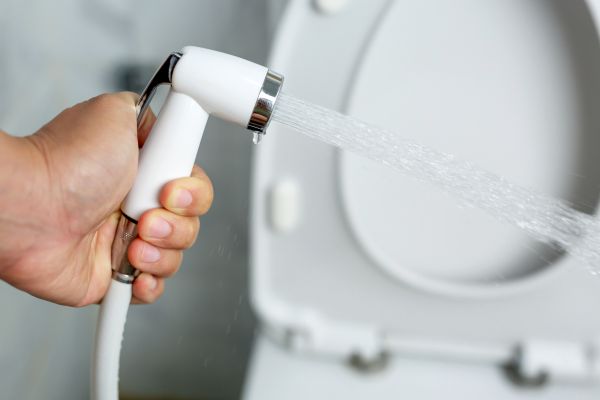 Bidet Installation in Queen Creek