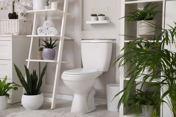 Toilet Repair in Queen Creek